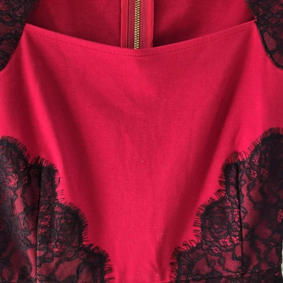 Erin Fetherston Red Black Lace Detail Sheath Dress - Picture 5 of 11